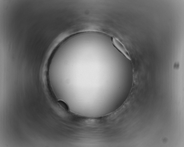 X0000102530152200808221913