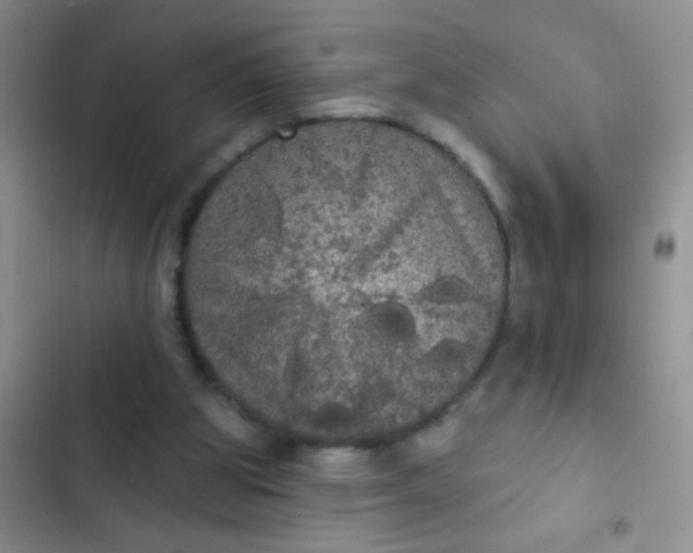 X0000102530153200808221913