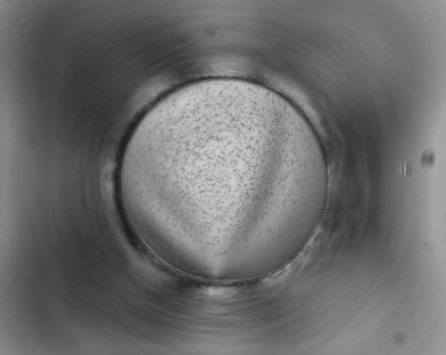 X0000102530154200808221913