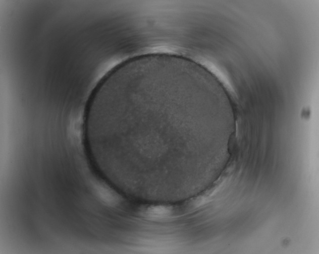 X0000102530156200808221913