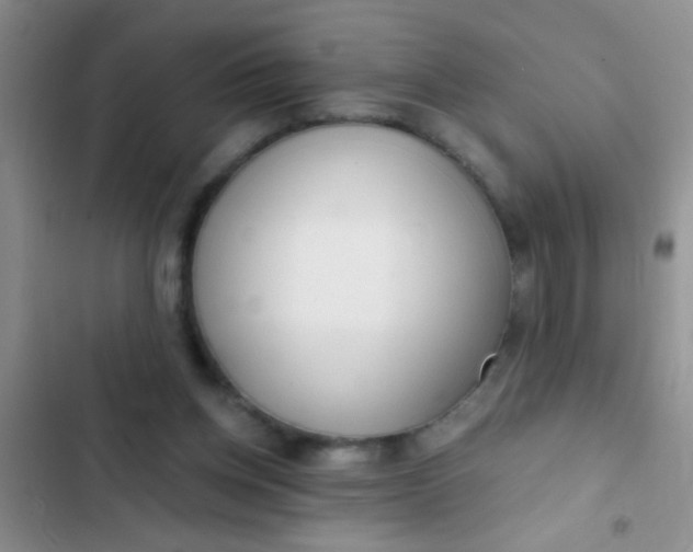 X0000102530158200808221913