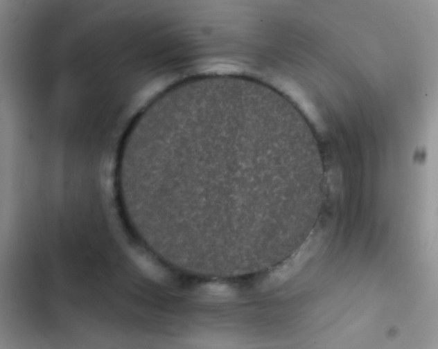 X0000102530159200808221913