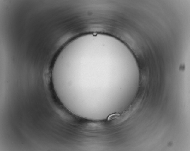 X0000102530160200808221913