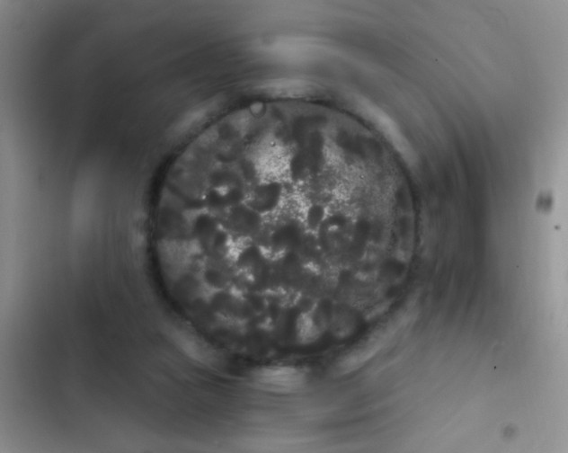 X0000102530161200808221913