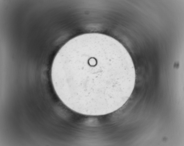 X0000102530162200808221913