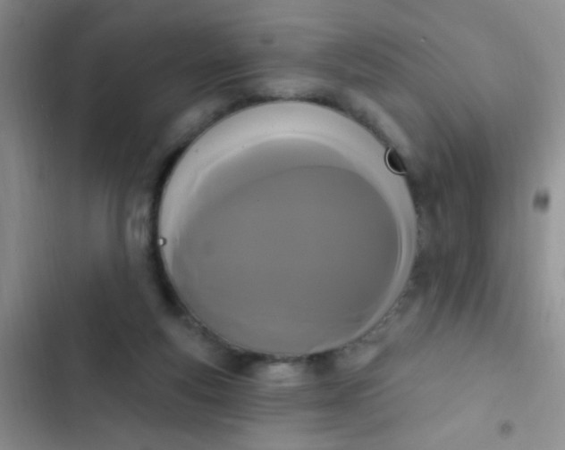 X0000102530163200808221913