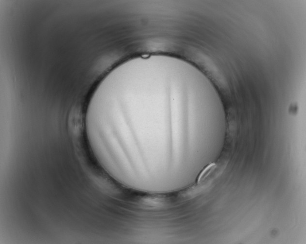 X0000102530164200808221913