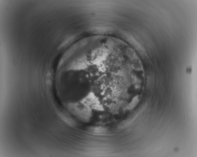 X0000102530165200808221913