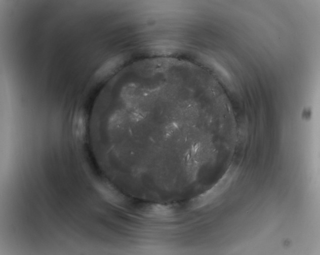 X0000102530166200808221913