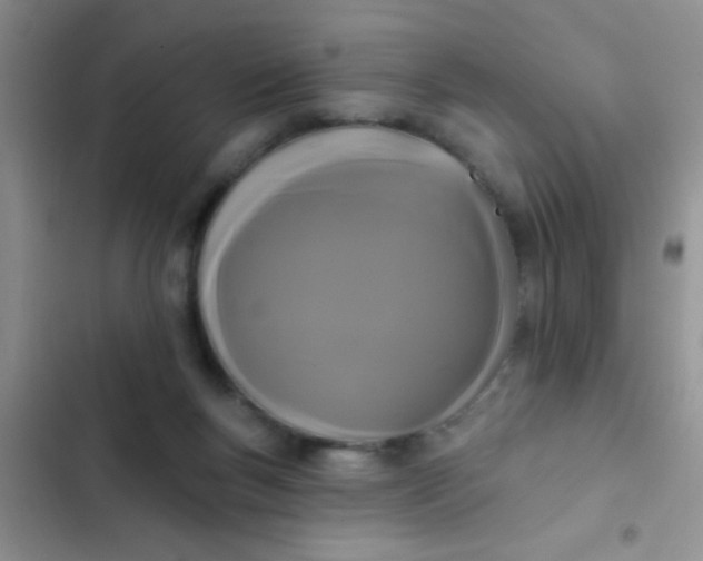 X0000102530167200808221913