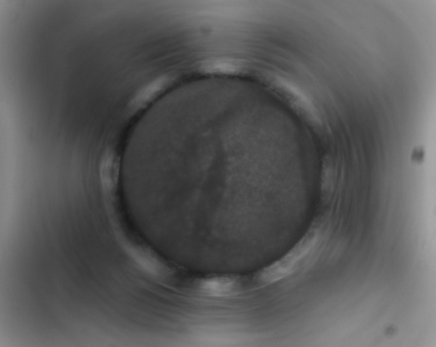 X0000102530168200808221913