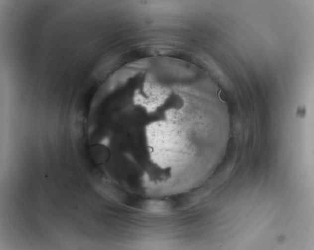 X0000102530169200808221913