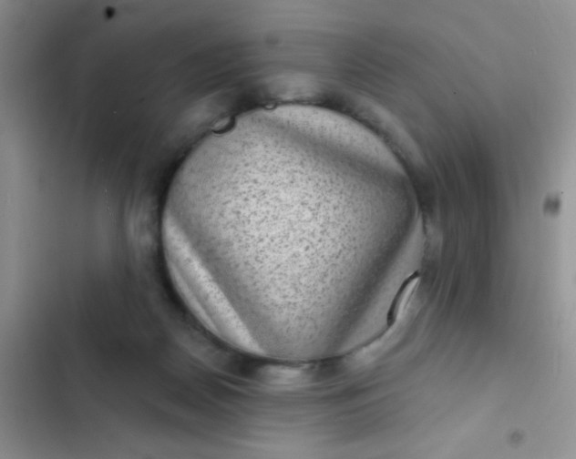 X0000102530170200808221913