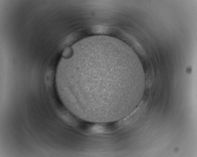 X0000102530171200808221914