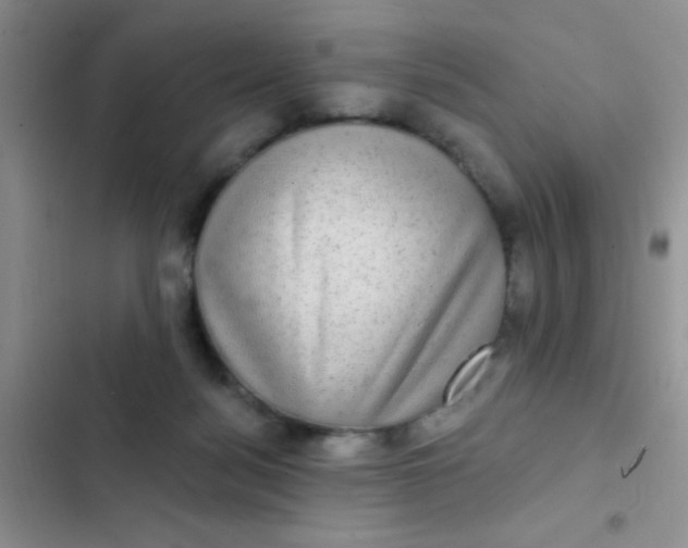 X0000102530172200808221914