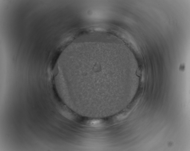 X0000102530173200808221914