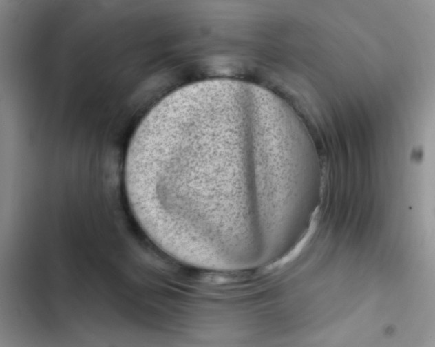 X0000102530174200808221914