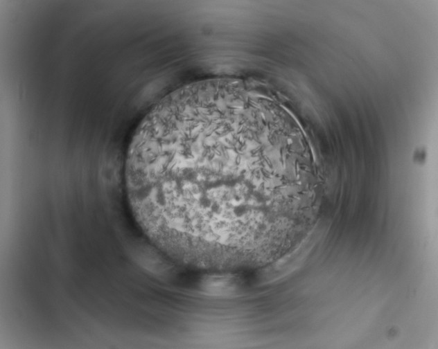 X0000102530175200808221914