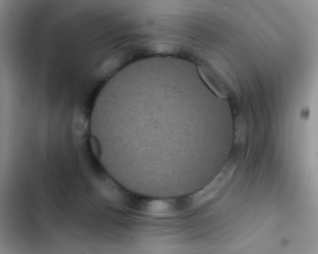 X0000102530176200808221914