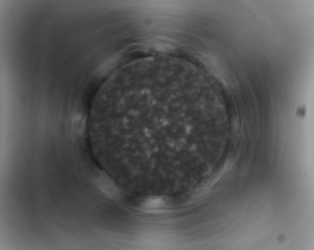 X0000102530177200808221914