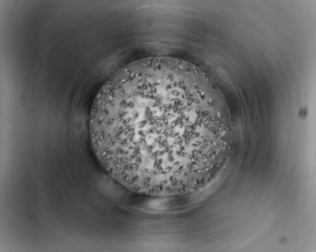 X0000102530178200808221914