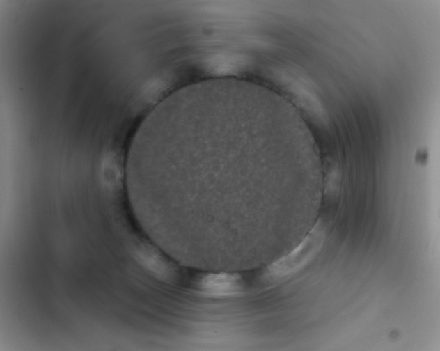 X0000102530179200808221914