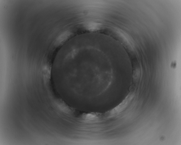 X0000102530180200808221914