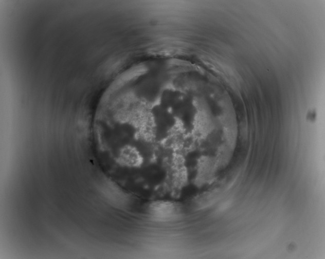 X0000102530181200808221914