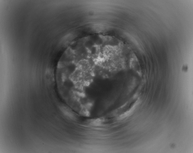 X0000102530182200808221914