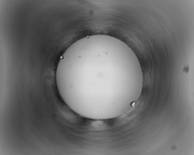 X0000102530183200808221914