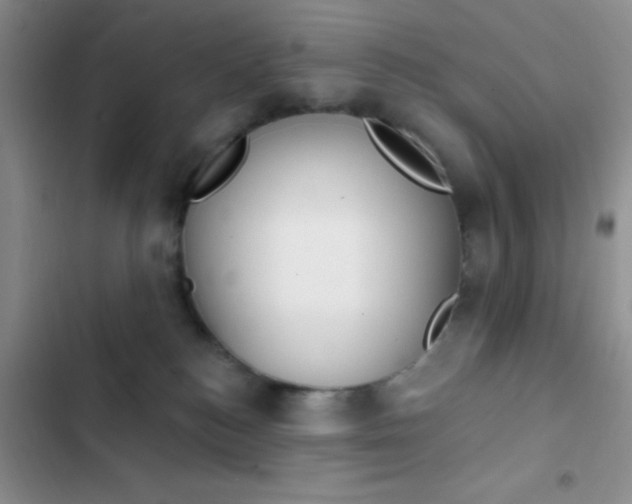 X0000102530184200808221914