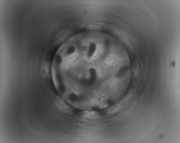 X0000102530185200808221914