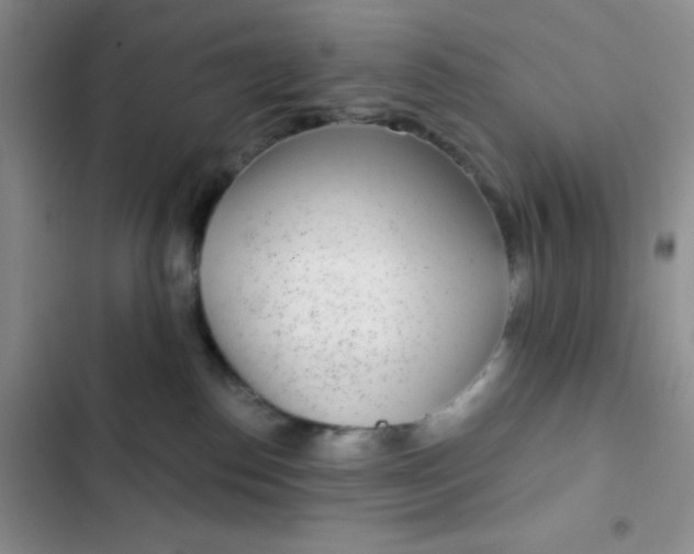 X0000102530186200808221914