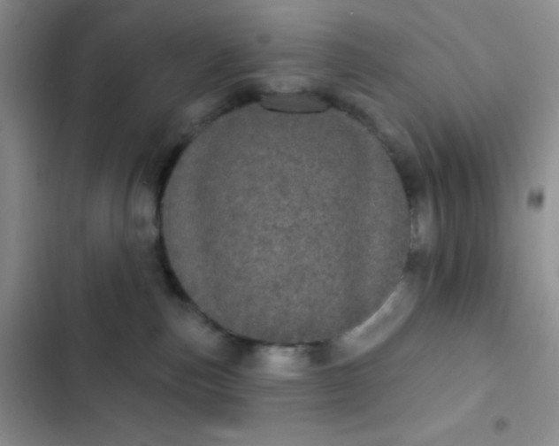 X0000102530187200808221914