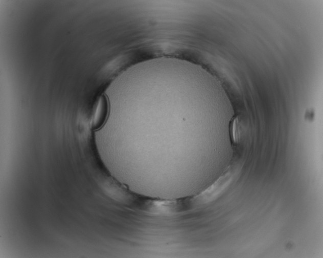 X0000102530188200808221914