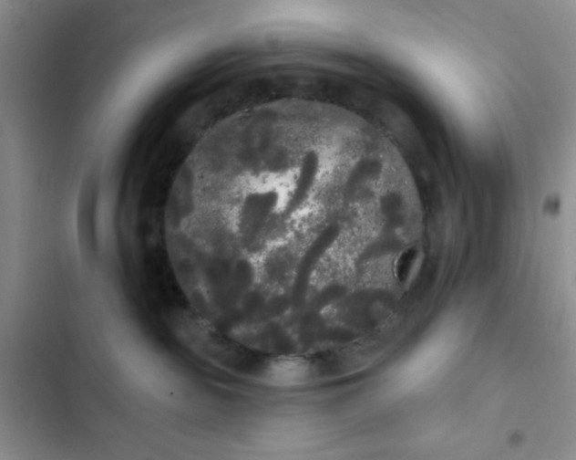 X0000102530189200808221914