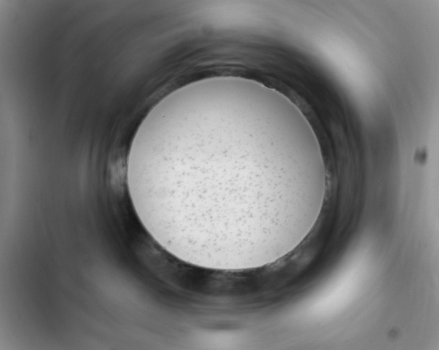 X0000102530190200808221914