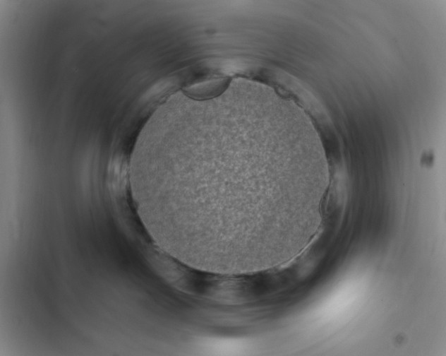 X0000102530191200808221914