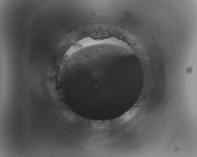 X0000102530192200808221914