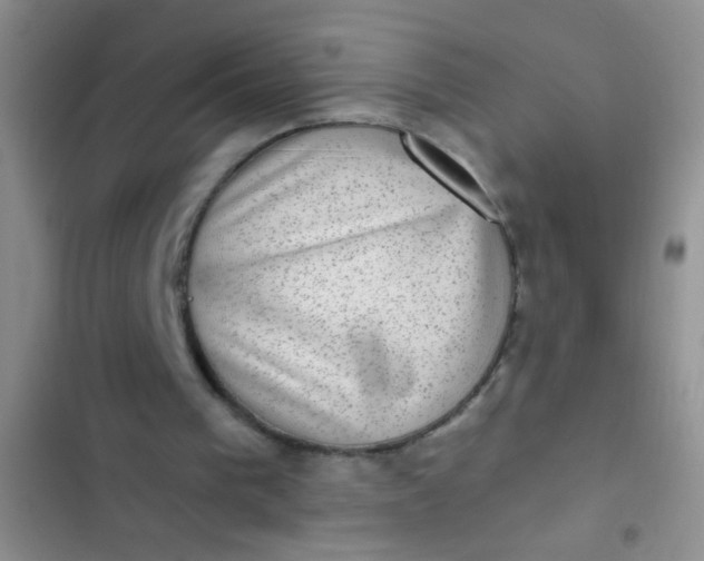 X0000102530193200808221913