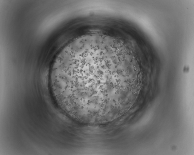 X0000102530194200808221913