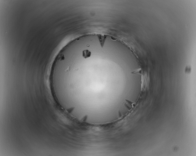 X0000102530195200808221913