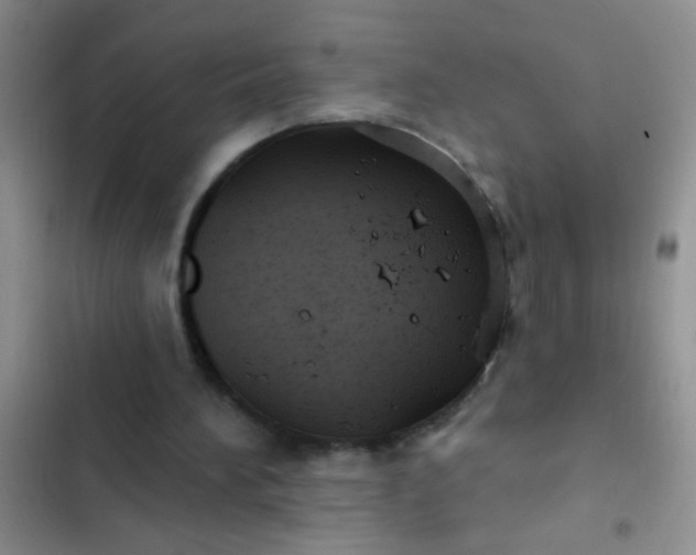 X0000102530196200808221913