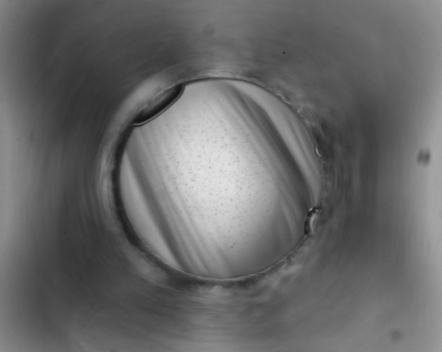 X0000102530197200808221913