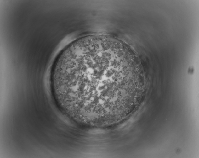 X0000102530198200808221913