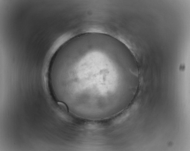 X0000102530199200808221913