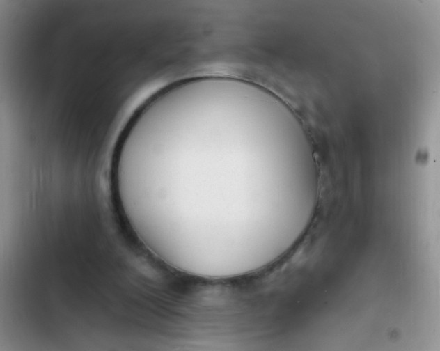 X0000102530200200808221913