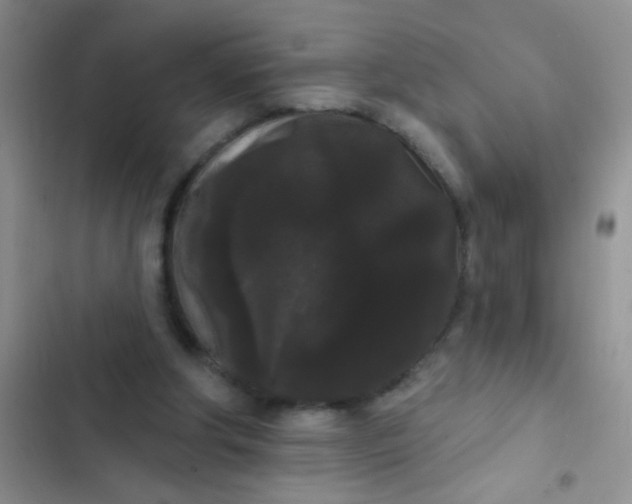 X0000102530202200808221913