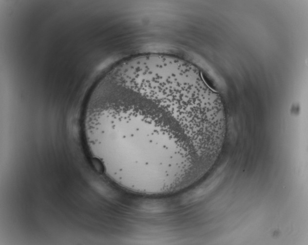 X0000102530203200808221913