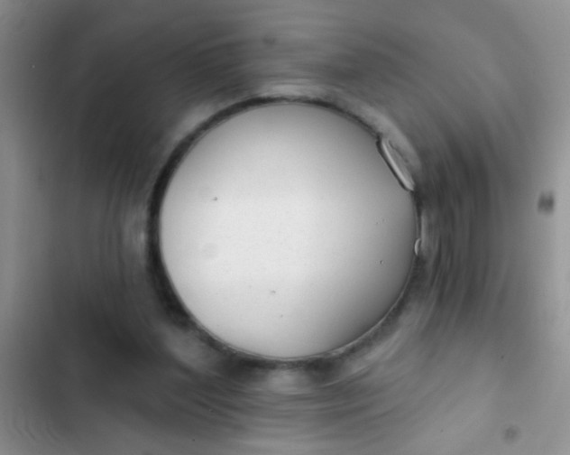 X0000102530204200808221913